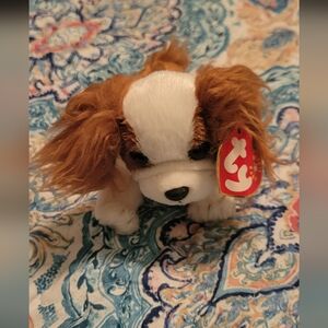 TY Beanie Baby Dog Regal